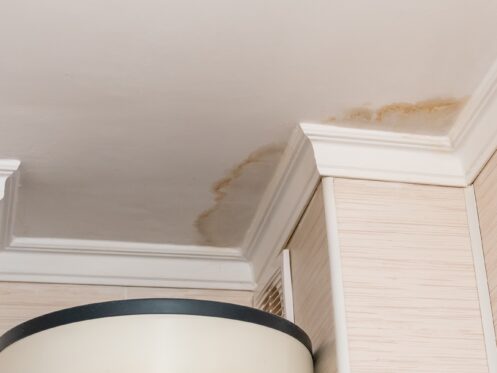 Leak Detection in Fort Myers, FL
