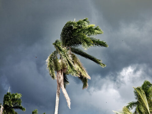 Hurricane season and water damage in Fort Myers, FL
