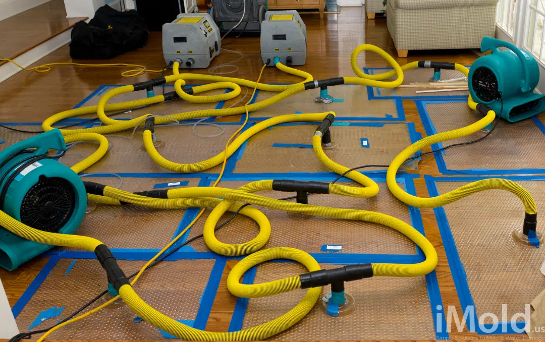 iMold structural drying equipment restoring water-damaged floors