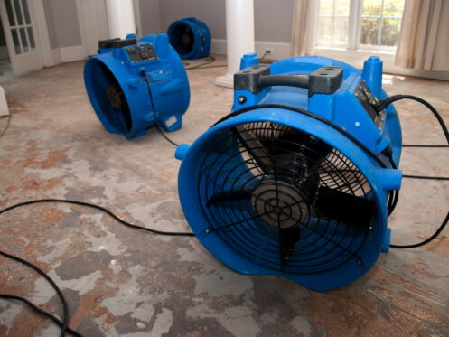 Water damage services in Fort Myers, FL