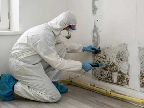 Technician in protective gear conducts an emergency black mold removal service on a wall.