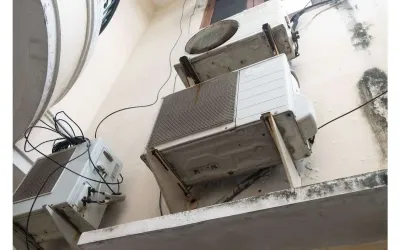 mold hiding place