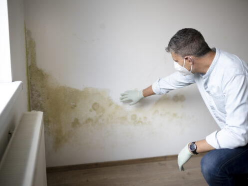 /remediation-repairs/