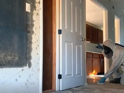 Restoration technician in protective gear inspecting mold growth on an interior wall