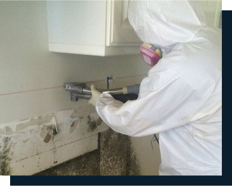 Restoration Services - Kitchen and Cabinetry in Fort Myers, FL