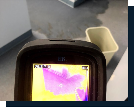 Mold Inspection and Testing
